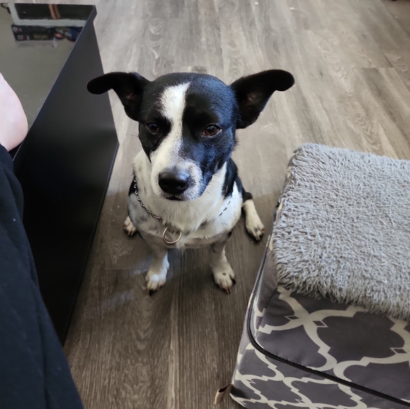 Meet your Posher, Constance - Picture 7 of 10